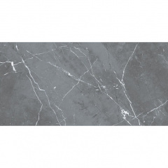 Плитка Cersanit Conrad Graphite Matt 298x598x8 мм Хмельницкий