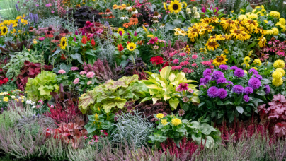 Доріжки в саду: вибір кольорів та створення гармонійних композицій