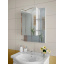 Зеркальный шкаф в ванную комнату Tobi Sho 75-Z без подсветки 700х500х125 мм Херсон