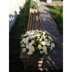 Лавочка садовая «Цветник» Кропивницький