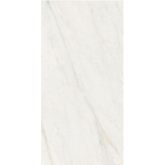 Плитка Stevol ST6121326P полірована 600х1200х9 мм Київ