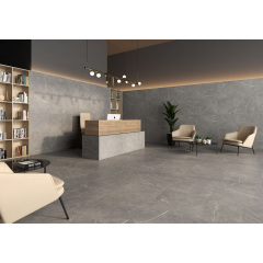 Плитка Stevol Status Gris MYR матовая 600х1200х9 мм Хмельницкий