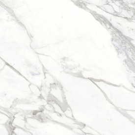 Плитка Stevol Medici White Pulido полірована 120х120 см