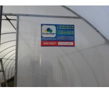 Теплица с поликарбонатом 