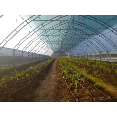 Теплица "Западная-10х10" 10х10х4.5м + пленка 150 мкм + зигзаг профиль Ровно