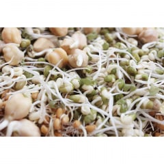 Глиняні горщики для пророщування Hawos Tonkeimer Рівне