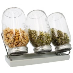 Набор для проращивания семян Eschenfelder: 3 банки на 1500 мл, белый Київ