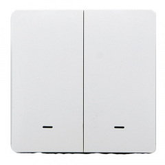 Розумна клавішна кнопка-вимикач Tervix Pro Line ZigBee Push Button (2 клавіші) (433021) Київ