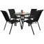 Комплект садових меблів GardenLine Majorka-4 Black Кобижча