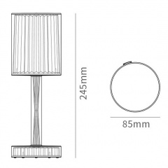 Настільна світлодіодна лампа RIAS Rose Diamond Table Lamp з пультом Петрово