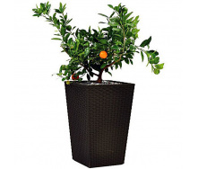 Горшок для цветов Keter Large Rattan Planter 145 л