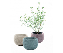 Набор горшков для цветов Keter 3 шт./1.4л Cozies Herb Pot