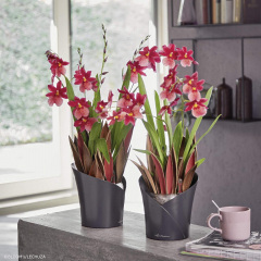 Вазон Lechuza Orchidea 20 серый 1 л Ніжин