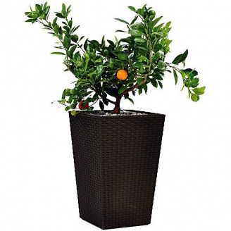 Горшок для цветов Keter Large Rattan Planter 145 л