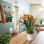 Вазон Lechuza Orchidea 20 белый 1 л Київ