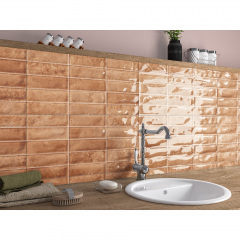 Плитка Ceramica Deseo EC.Pool Cotto 9х600х316 мм Токмак