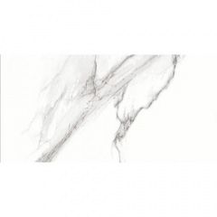 Плитка Ceramica Deseo P.E. Nika Mate Rect 10х1200х600 мм Васильків