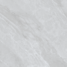 Плитка Ceramica Deseo JW69101 Dion 9х600х600 мм