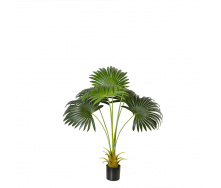 Искусственное растение Engard Fan Palm, 95 см (DW-26)