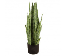 Искусственное растение Engard Sansevieria, 65 см (DW-11)