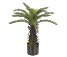 Искусственное растение Engard Fan Palm, 60 см (DW-25)