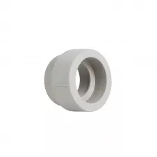 Муфта PPR Thermo Alliance 4"х3" (DSB123)