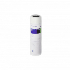 Картридж Pentek CC-10sl 9 3/4' 20мкм 155155-43 гранулированный активированный уголь Вінниця
