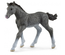 Игровая фигурка Schleich Тракенный жеребенок 100х22х70 мм (6903214)