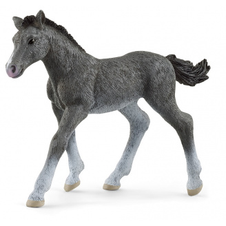 Игровая фигурка Schleich Тракенный жеребенок 100х22х70 мм (6903214)