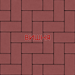 Тротуарная плитка Брусчатка 200х100 60мм кирпичик 20х10 6см безфасочная цветная в ассортименте Ужгород
