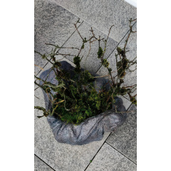 Мини клумба с натуральным декором Луцк