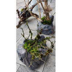 Мини клумба с натуральным декором Луцк