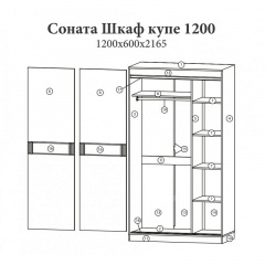 Шкаф Купе 2-х дверный Эверест Соната-120 120х60х217 см венге белый Харьков