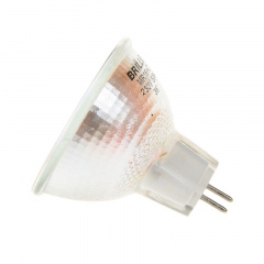 Лампа галогенная Brille Металл 50W Хром 126868 Київ