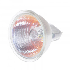 Лампа галогенная Fora Металл 50W Хром 100078 Київ