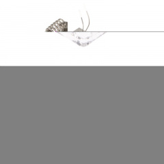 Декоративный точечный светильник Brille 20W HDL-G95 Никель 163433 Дзензелевка
