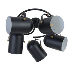 Светильник спот Brille Металл 40W HTL-209 Черный 26-799 Славянск