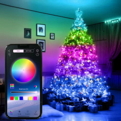 Светодиодная гирлянда Meiq-IT 100 LED RGB 10 м USB Bluetooth управление с телефона Братське