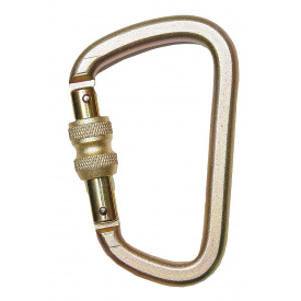 Кaрaбін трaпeцієпoдібний AZ017