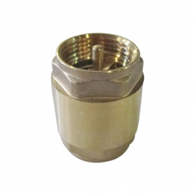 Клапан обратного хода ЭКО 50мм 2