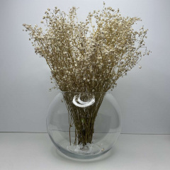 Ваза скляна 15,5 см Trendglass Sphere 35104 Харків