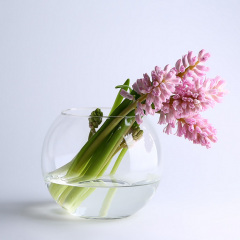 Ваза скляна 15,5 см Trendglass Sphere 35104 Харків