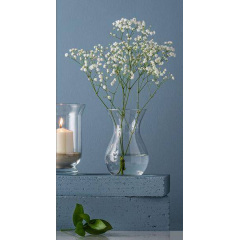 Ваза скляна 18 см Trendglass Asta 35445 Київ