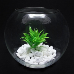 Ваза-акваріум Pasabahce Куля Botanica h-16 см 45068 Ізюм
