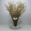 Ваза скляна 15,5 см Trendglass Sphere 35104 Харків