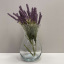 Ваза скляна 18 см Trendglass Asta 35445 Київ