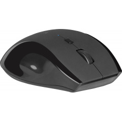 Мышь Defender Accura MM-295 Wireless Black (52295) Кропивницький