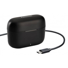 Гарнитура Panasonic RZ-B110WDG-K (6922908) Львів