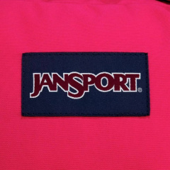 Яркий городской рюкзак Jansport Superbreak 25L Малиновый Одесса