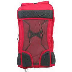 Женский спортивный рюкзак с дождевиком Crivit 17L IAN398768 розовый Кропивницький